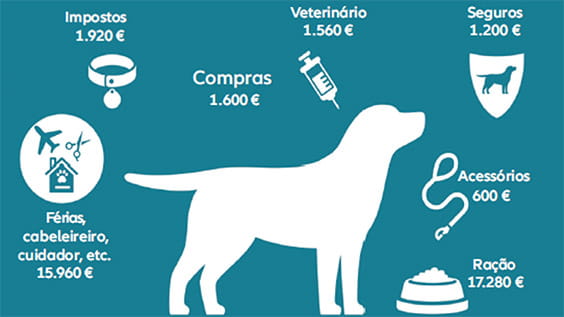 infográfico: Custos para manter um Labrador Retriever: 40.120 €